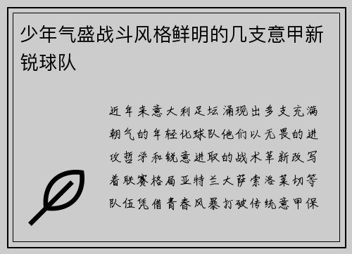 少年气盛战斗风格鲜明的几支意甲新锐球队