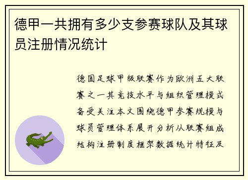 德甲一共拥有多少支参赛球队及其球员注册情况统计